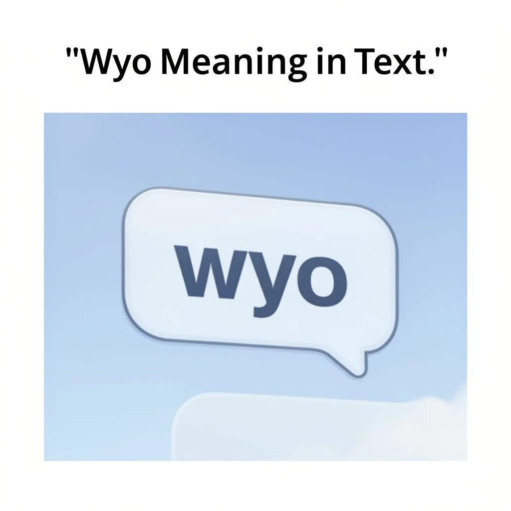 wyo meaning in text illustration