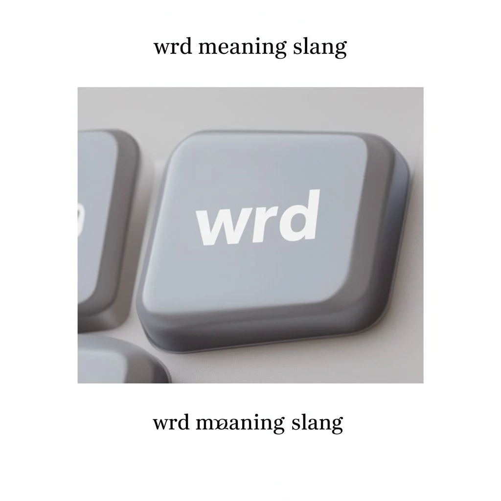 wrd meaning slang illustration